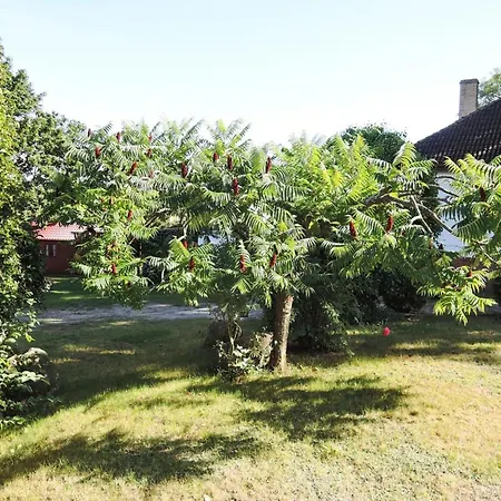 In At 300 M From The *