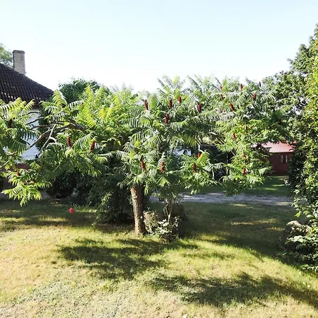 In At 300 M From The Сasa de vacaciones *